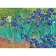 Irysy, Vincent van Gogh, 1889 (3000el) - Sklep Art Puzzle